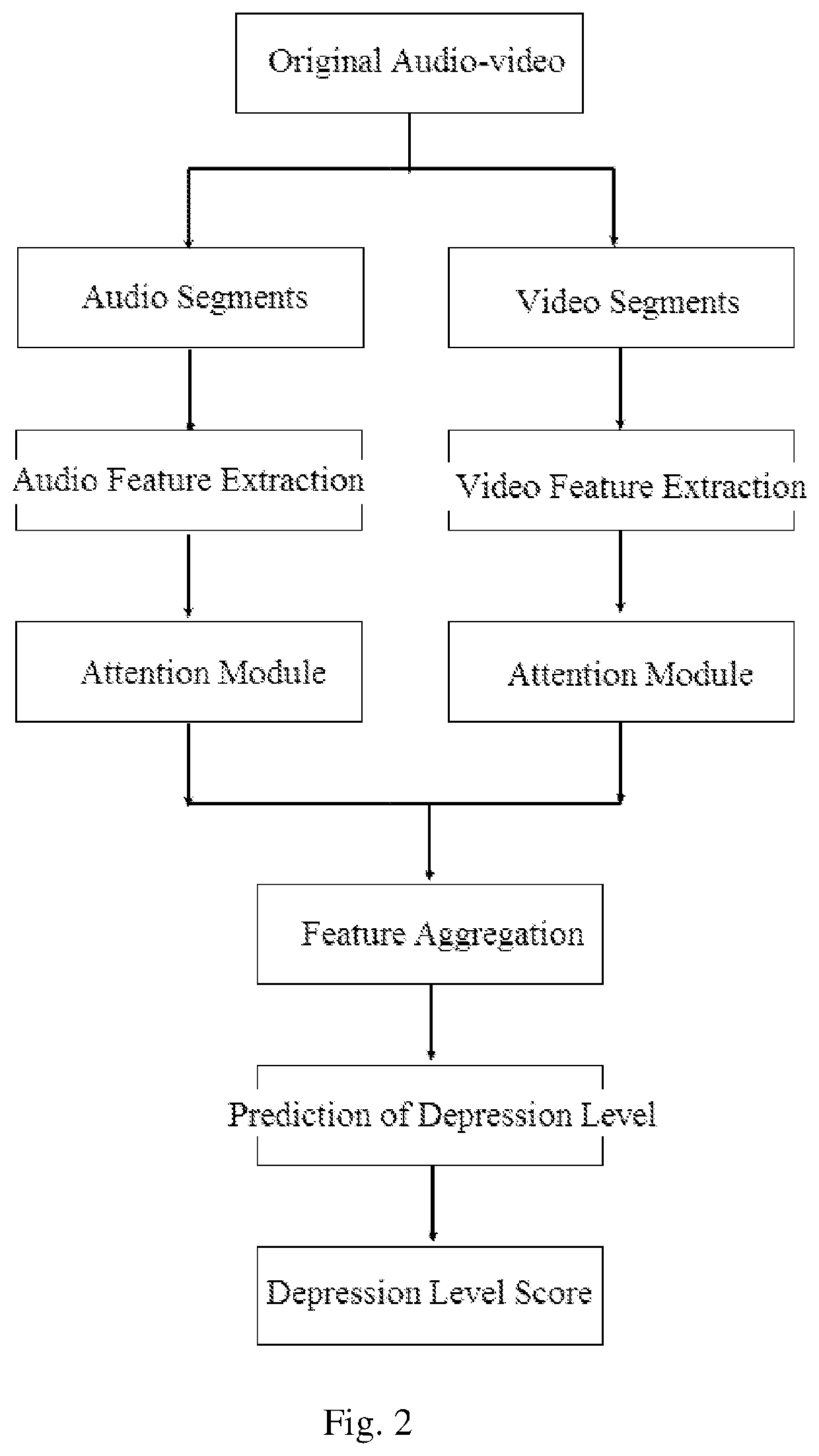 Automatic depression detection method based on audio-video