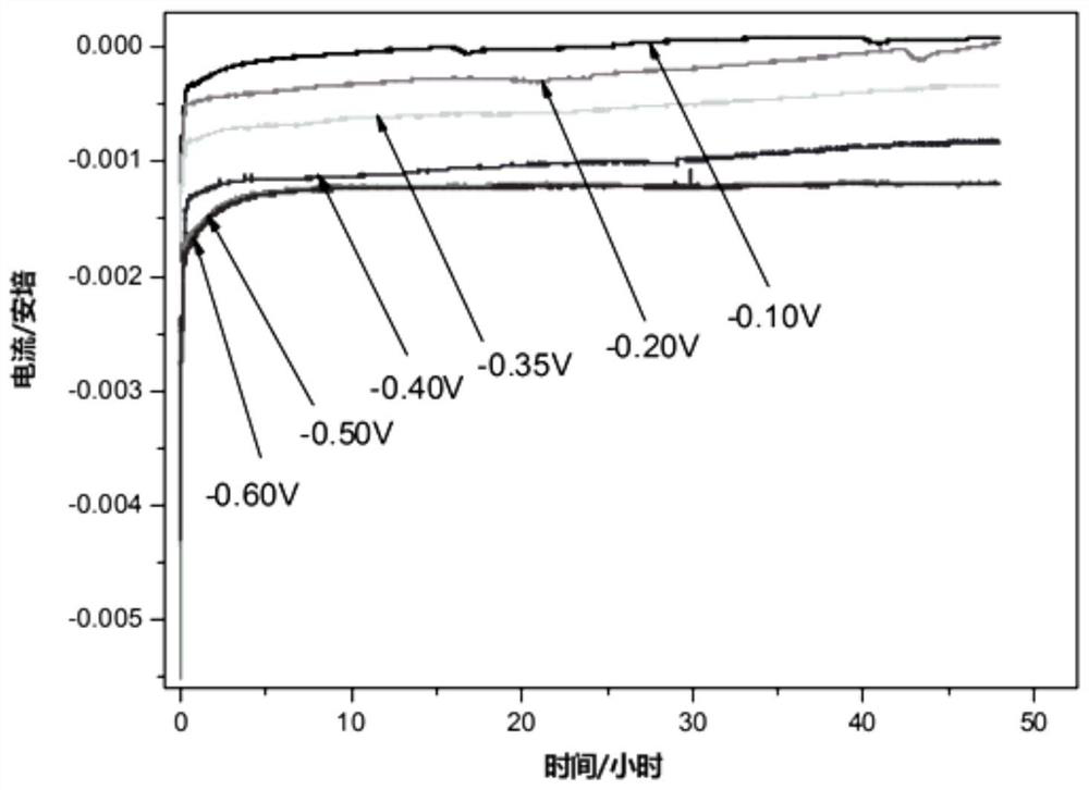 Preparation method of platinum nanowire particle catalyst