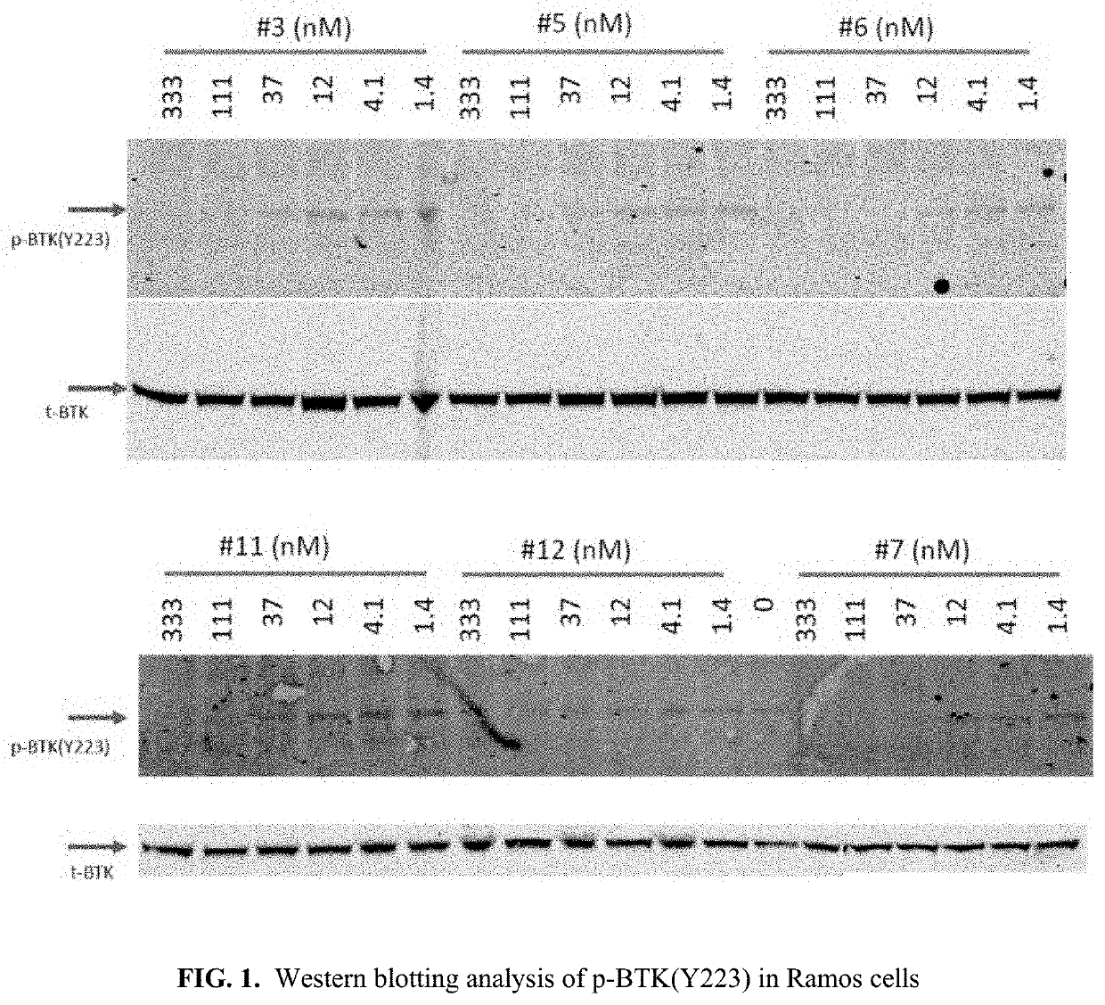 Substituted pyrimidines, pharmaceutical compositions and therapeutic methods thereof