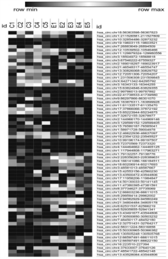 A sle-related circular RNA hsa_circ_0025843 and its application