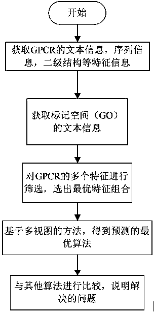 Predication method for biological function of GPCR (G Protein-Coupled Receptor) drug target and application of predication method