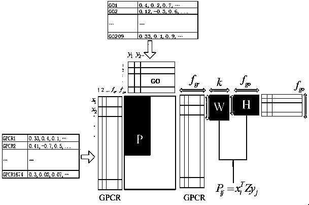 Predication method for biological function of GPCR (G Protein-Coupled Receptor) drug target and application of predication method