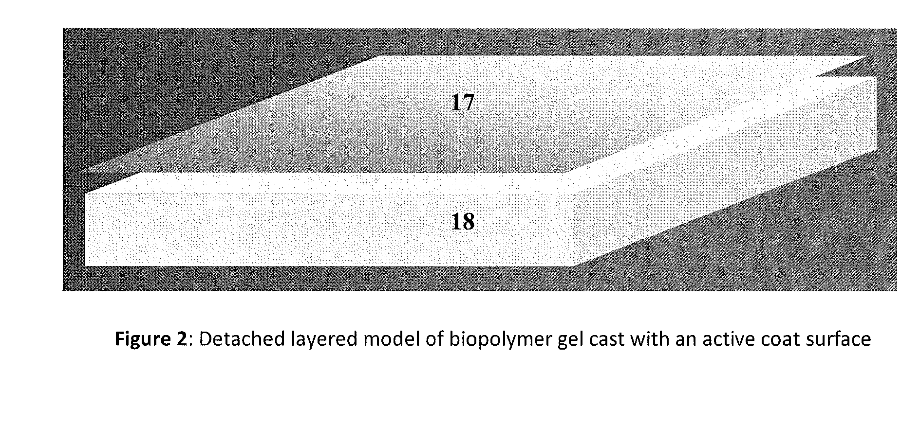 Biopolymer multi-layer multi-functional medical dressing and method of making same