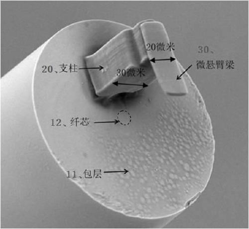 Optical fiber end face micro-cantilever sensor and preparation method thereof