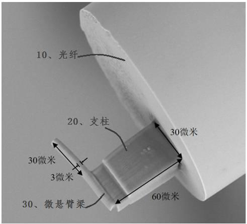 Optical fiber end face micro-cantilever sensor and preparation method thereof