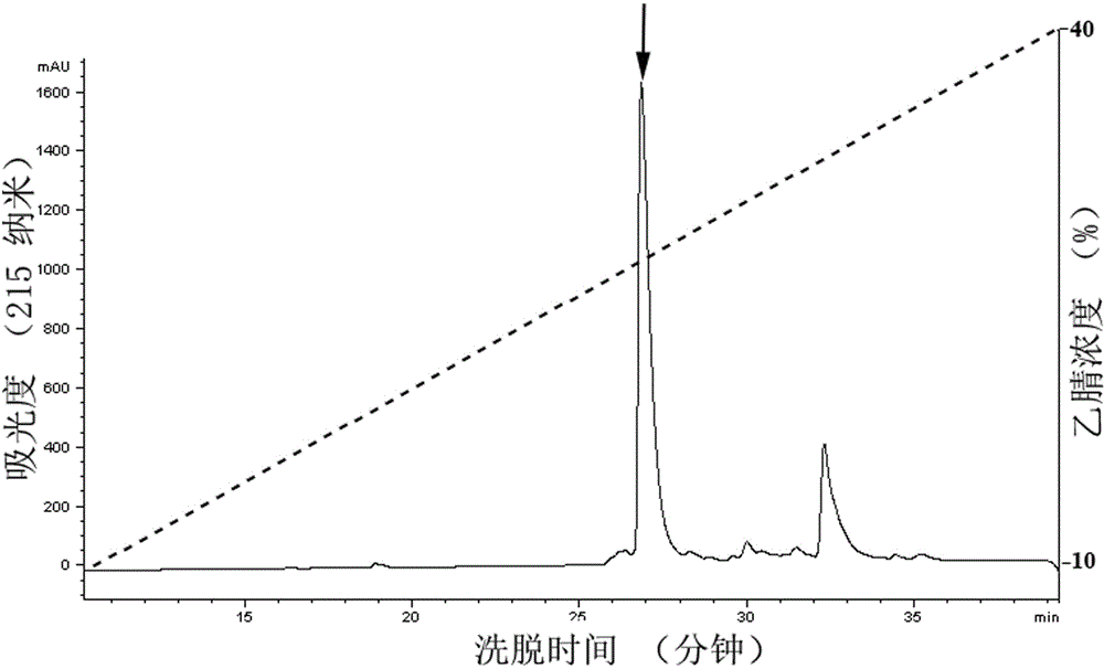 Preparation and application of Scolopendra mutilans analgesic peptide precursor protein Ssm-A and products thereof (Ssm-A1 and Ssm-A2)