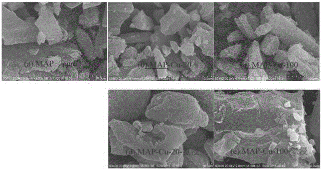 Method for removing and recycling copper from magnesium ammonium phosphate sludge