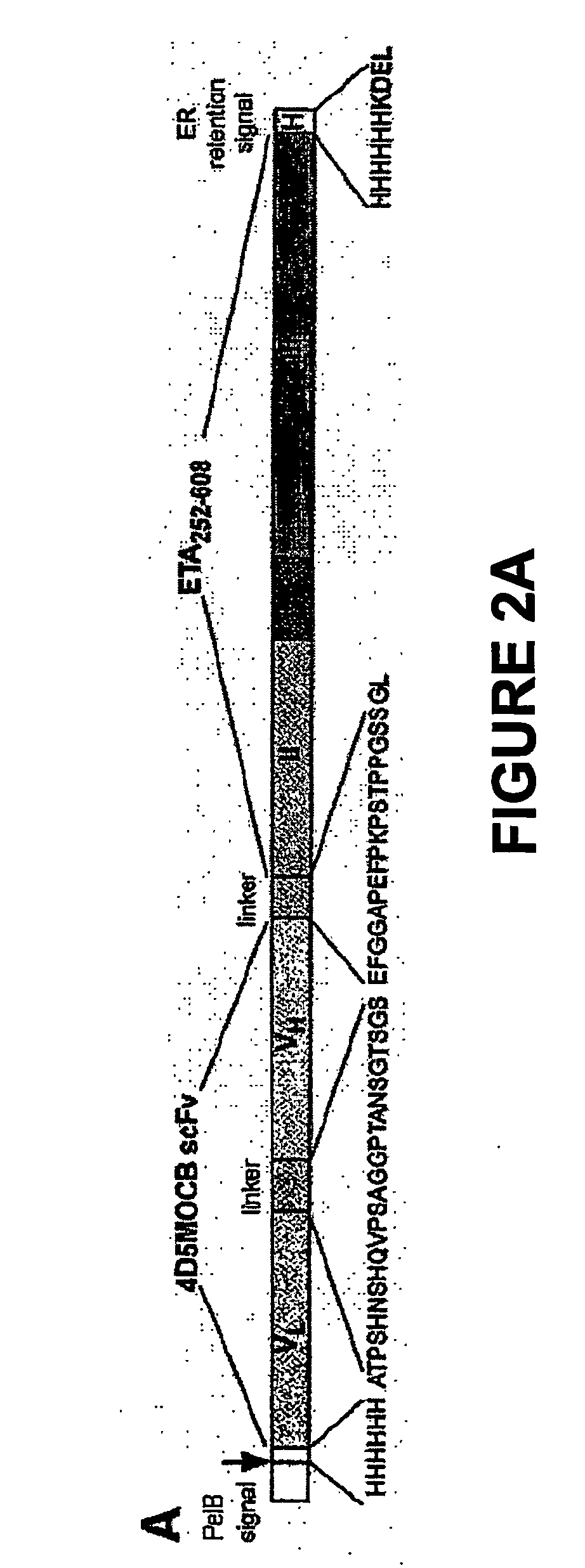 Methods for treating cancer using an immunotoxin