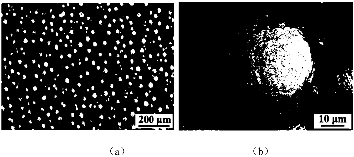 Quantitative detection method for microcosmic combination of single ceramic spread sheet and matrix