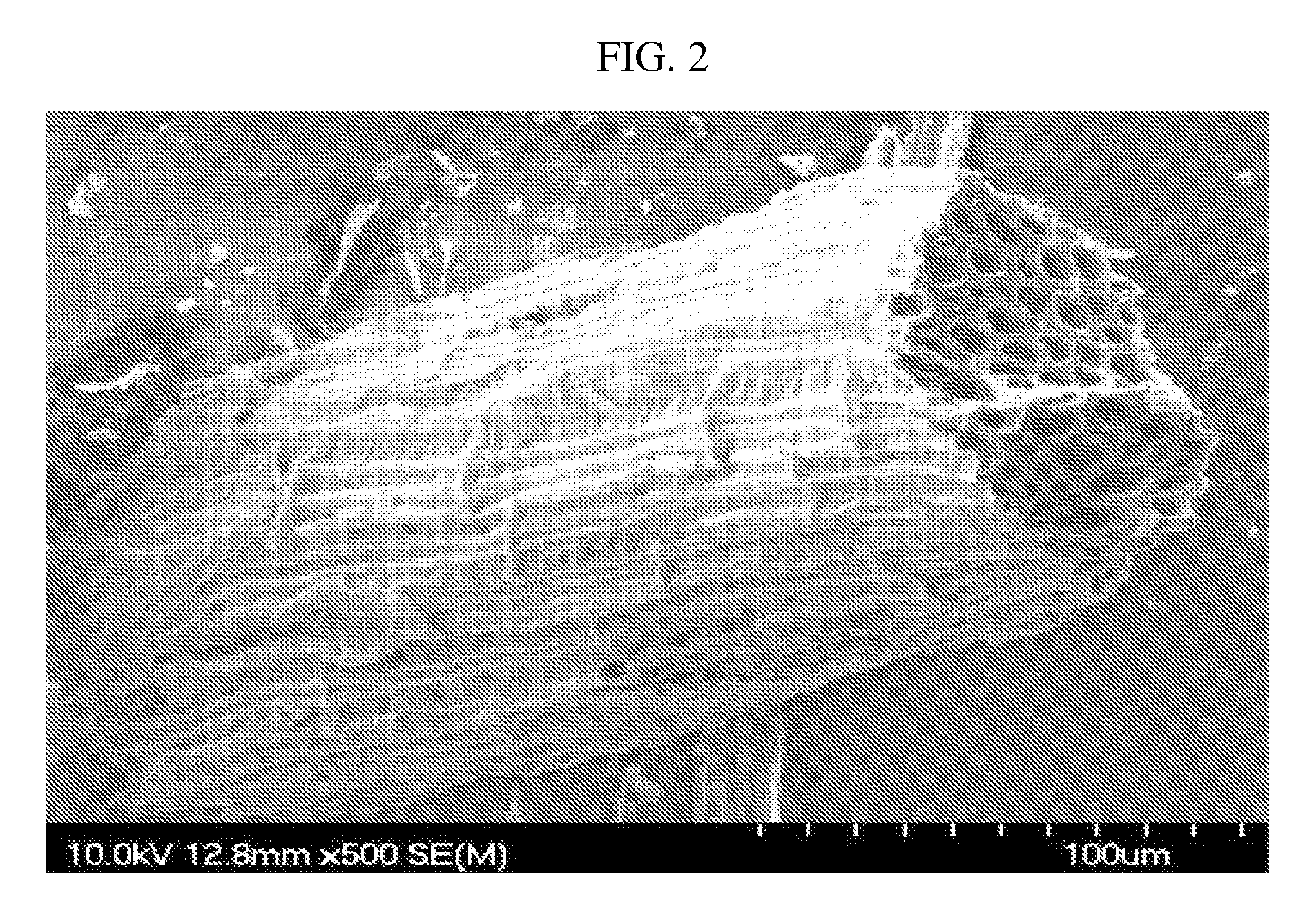 Catalyst support using cellulose fibers, preparation method thereof, supported catalyst comprising nano-metal catalyst supported on carbon nanotubes directly grown on surface of the catalyst support, and method of preparing the supported catalyst