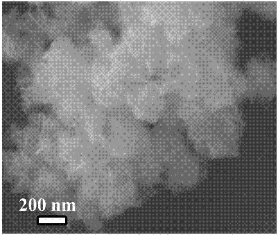 Preparation method of nitrogen-doped carbon nanosphere/molybdenum disulfide sodium ion battery negative electrode plate