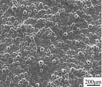 Preparation method of SiC nanowire-toughened SiC ceramic coating on surface of C/C composite