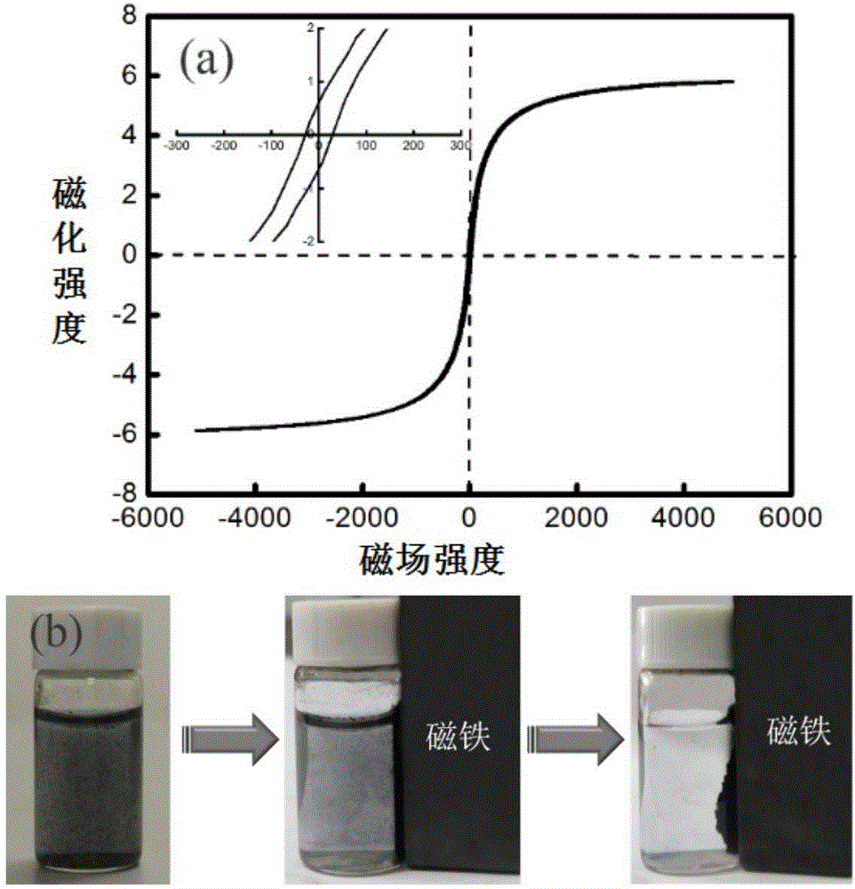 Molybdenum diselenide/ferroferric oxide magnetic nano composite material, and preparation method and application thereof.
