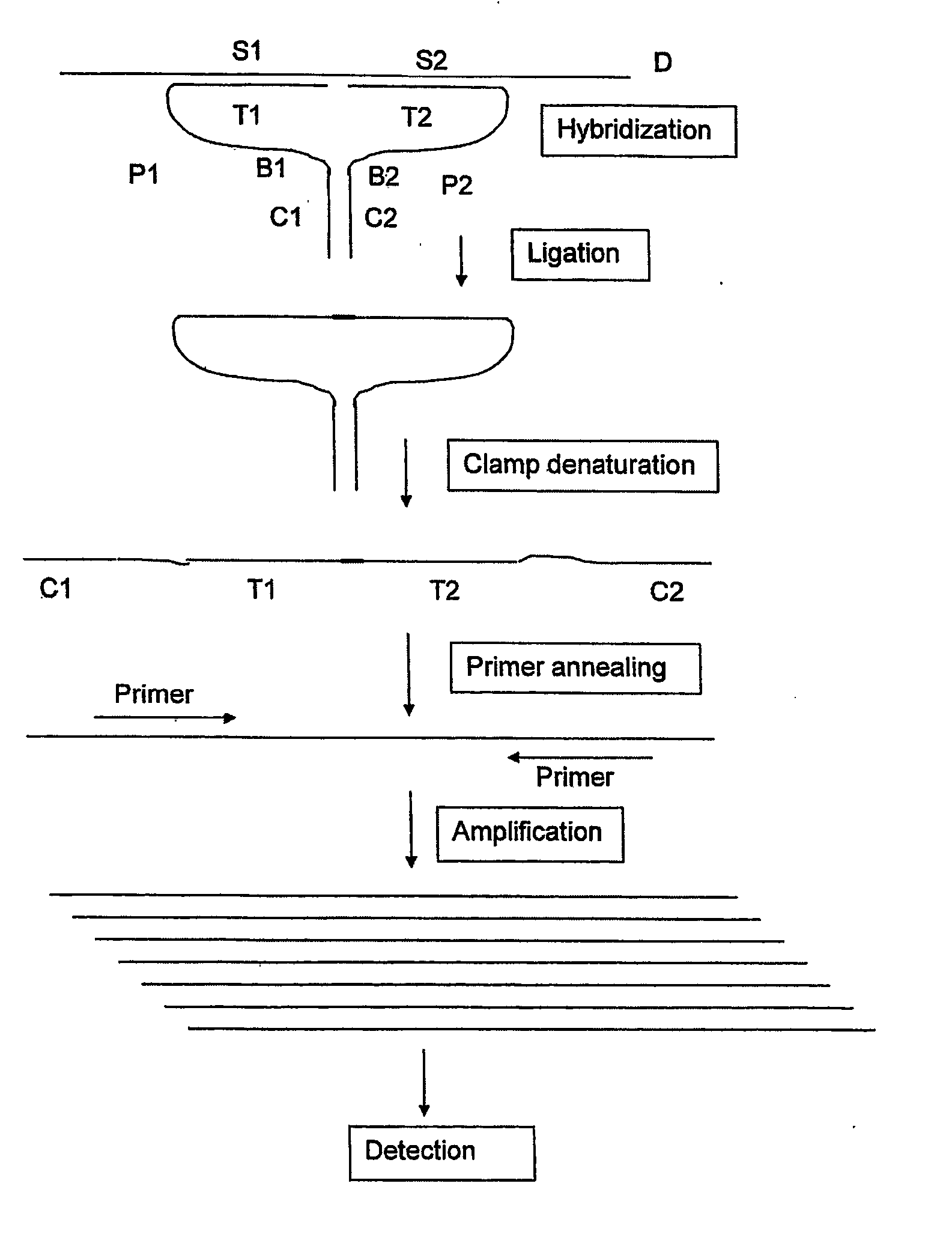Means and Method for the Detection of Target Nucleotide Sequences Using Ligation Assays With Improved Oligonucleotide Probe Pairs
