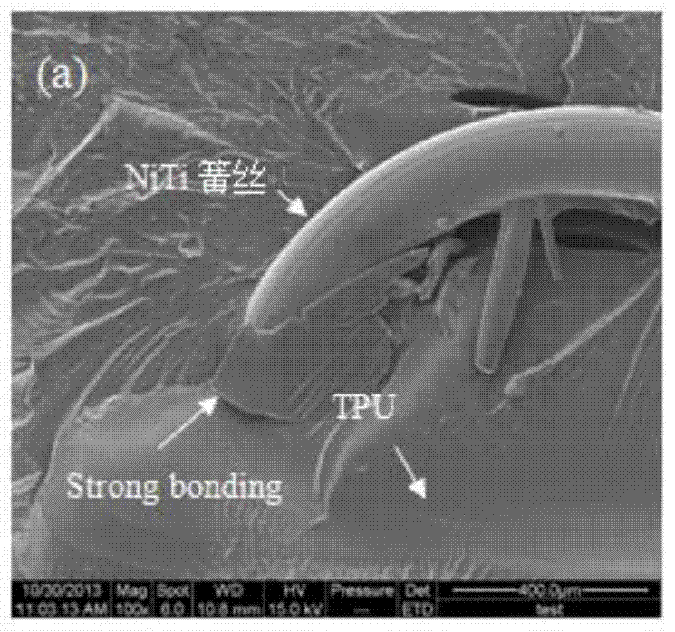 Method for preparing NiTi spring/carbon nano-tube/polyurethane composite material