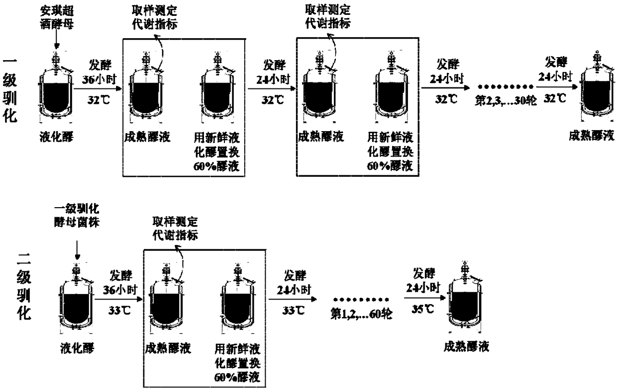 Domestication method for industrial saccharomyces cerevisiae