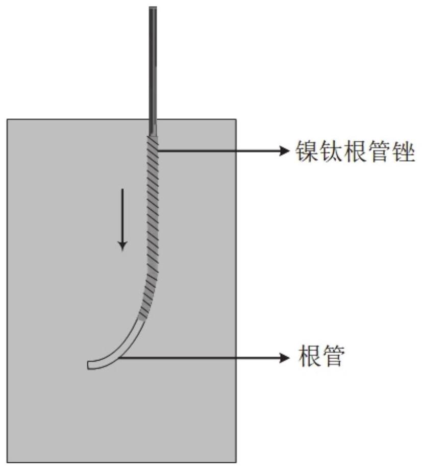 Design method, system and preparation of a variable-section nickel-titanium root canal file for root canal preparation