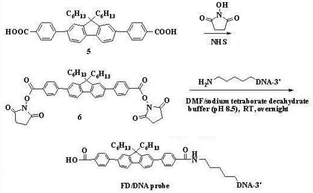 Fluorescent molecular switch and fluorescent probe thereof, and applications of fluorescent probe