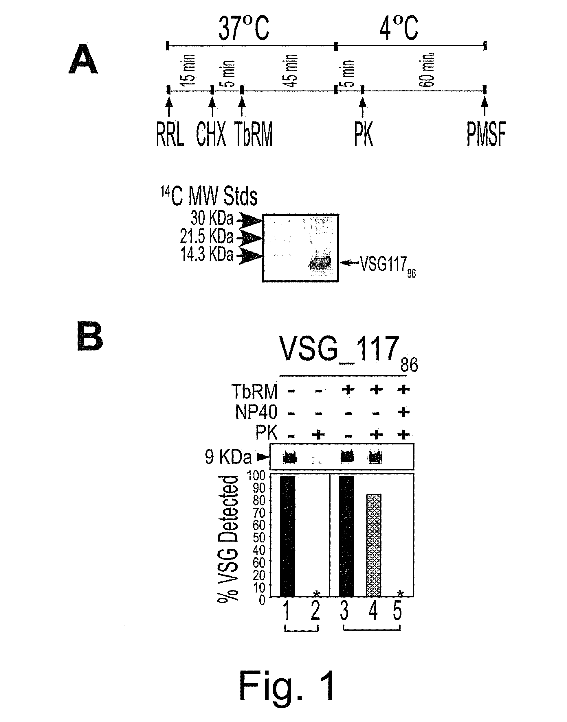 Trypanosome microsome system and uses thereof