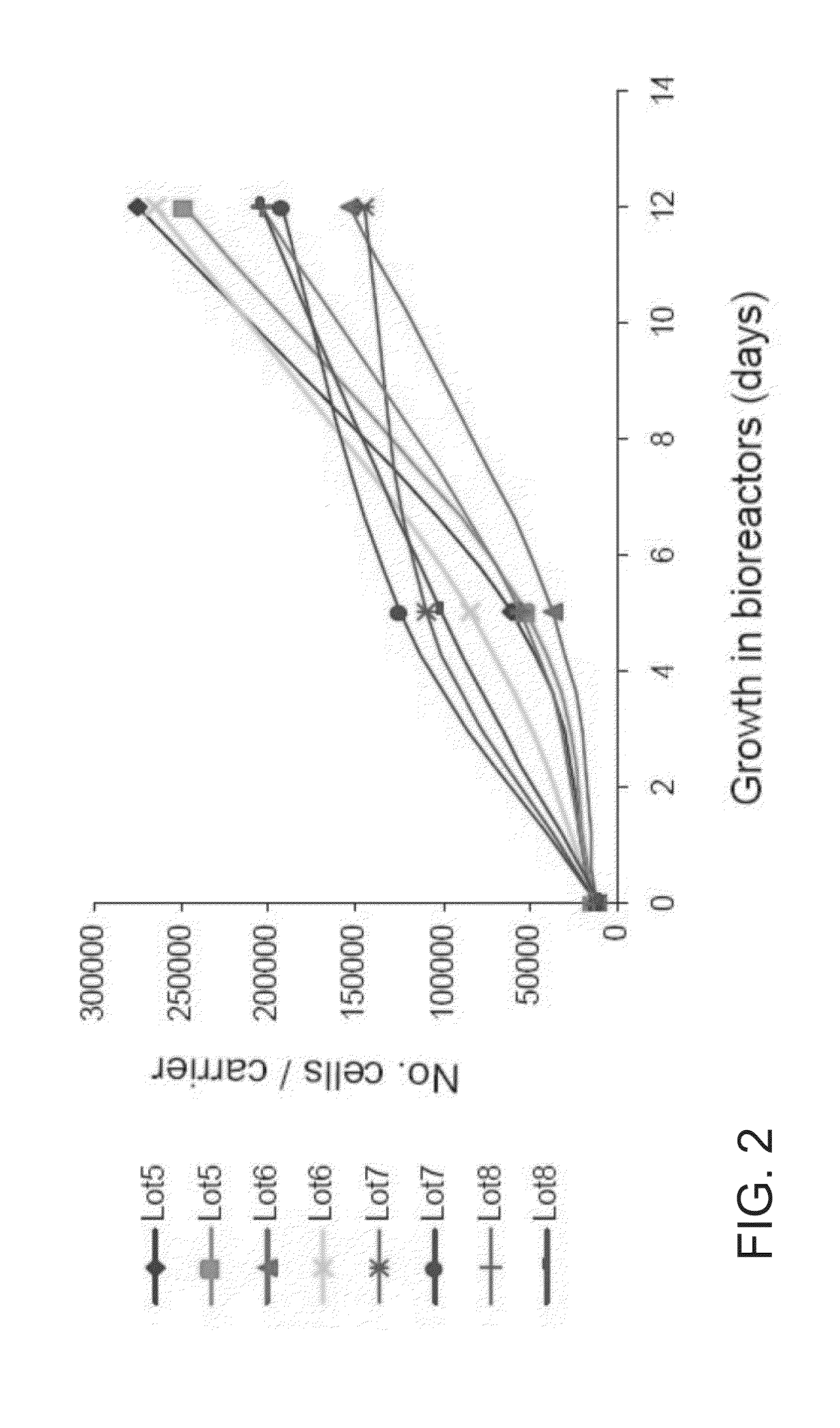 Adherent cells from adipose or placenta tissues and use thereof in therapy