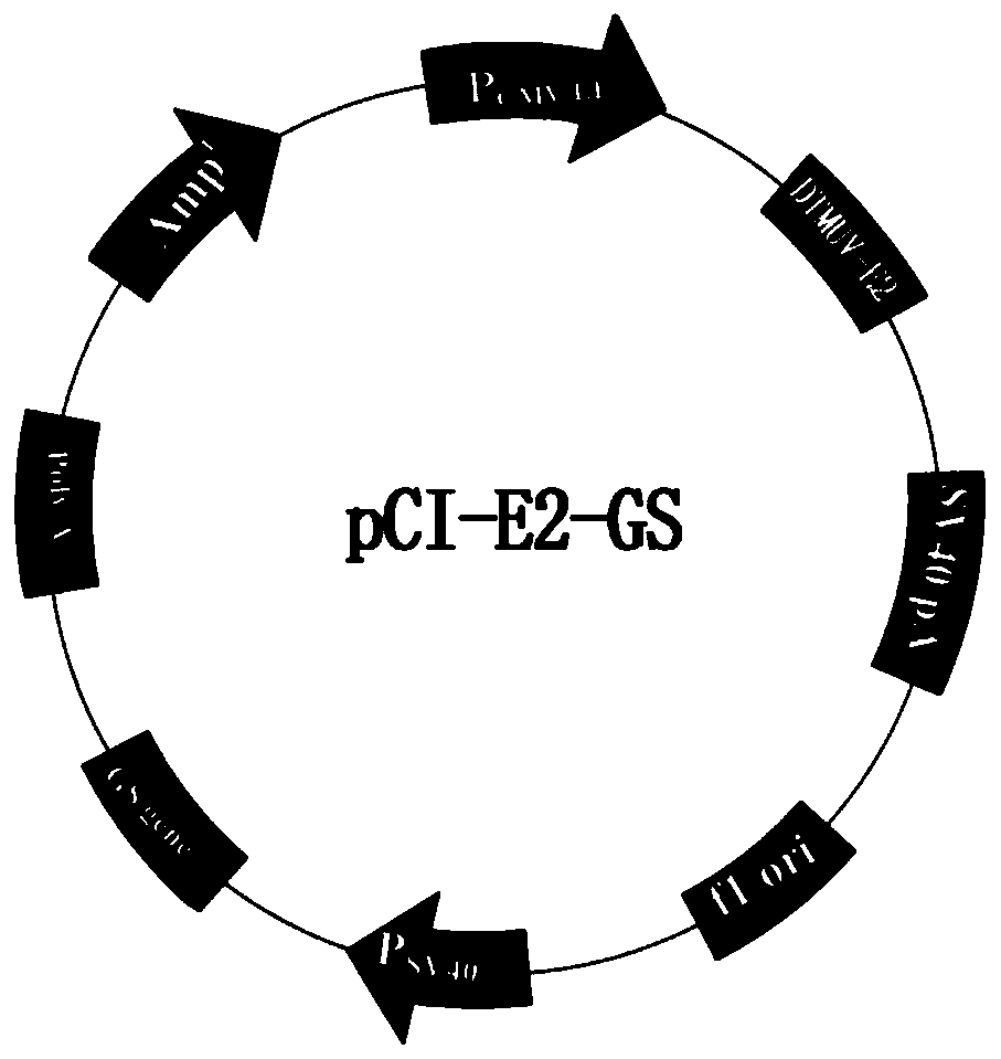 Duck Tembusu virus genetically engineered subunit vaccine and its preparation method and application