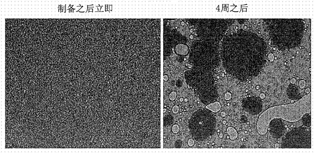 Emulsion cosmetic composition containing ceramide and method for preparing same