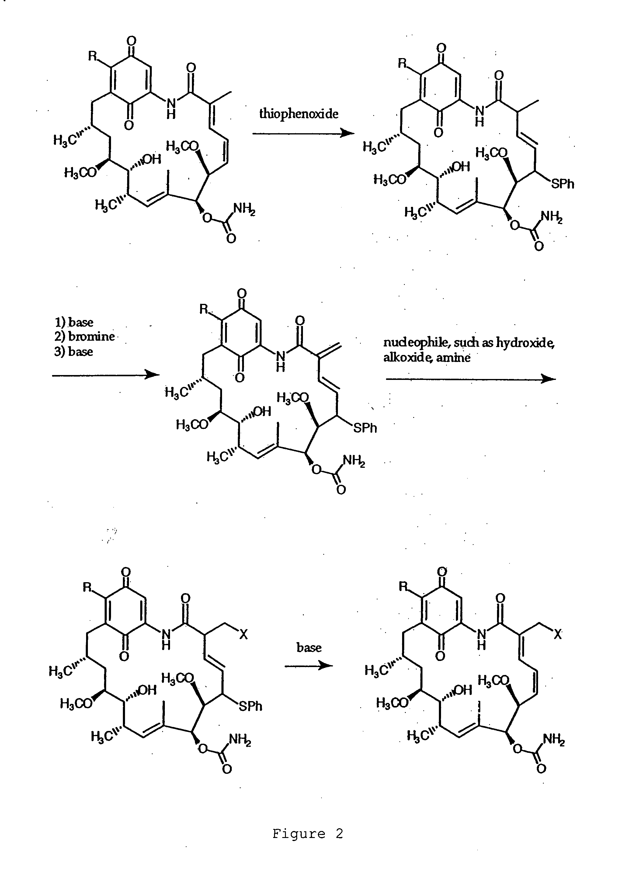 Geldanamycin derivatives and method of use thereof