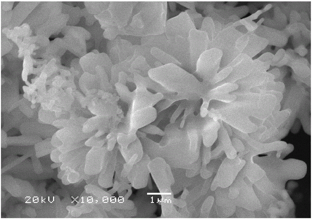Na2Fe2P2O7 material with flower-like structure and preparation method and application thereof