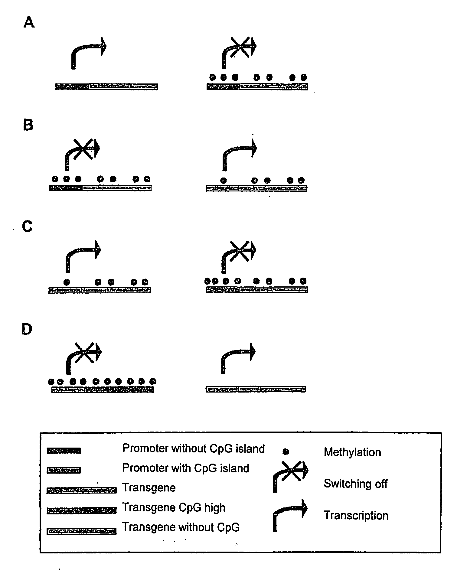 Method for modulating gene expression by modifying the cpg content