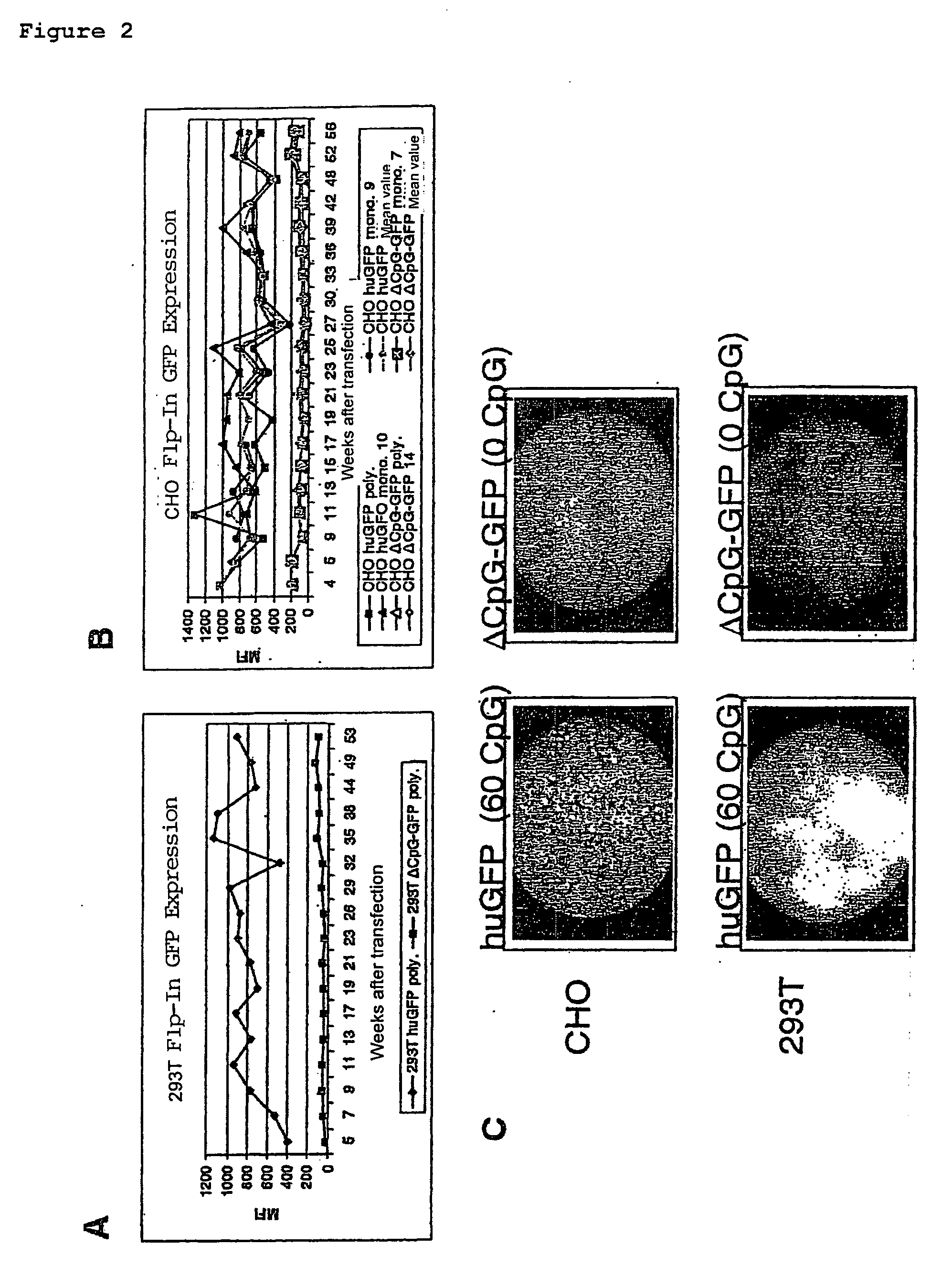 Method for modulating gene expression by modifying the cpg content