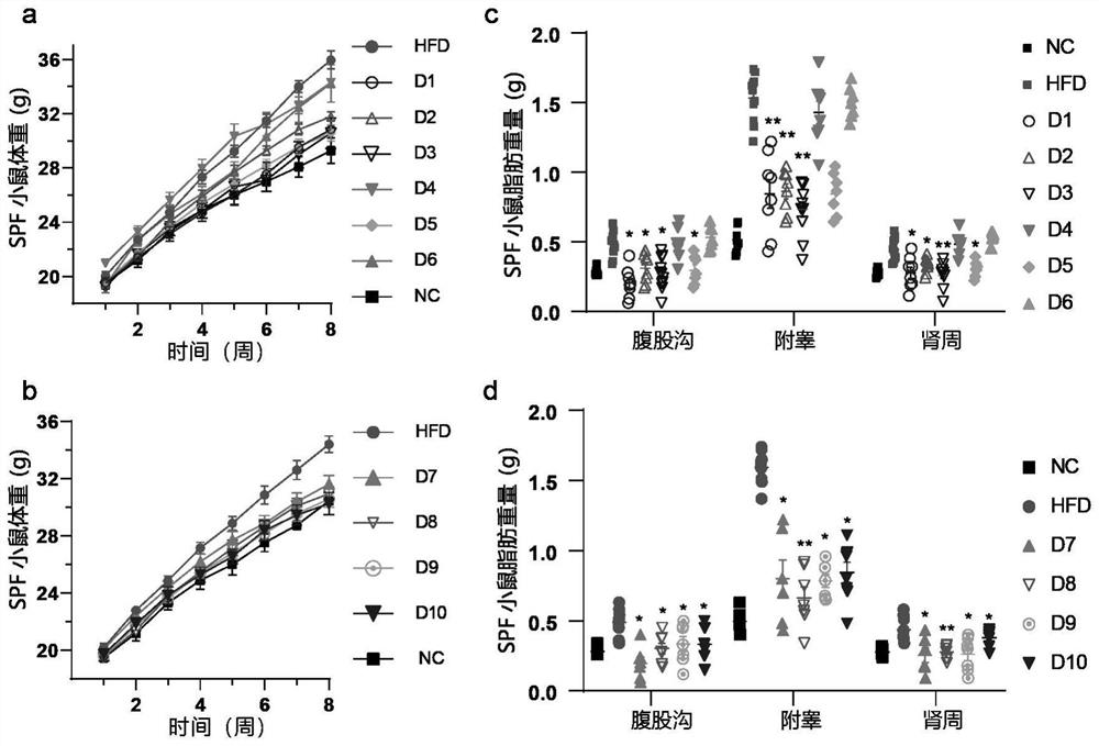 Medicine for inhibiting dietary obesity and polypeptide used by medicine