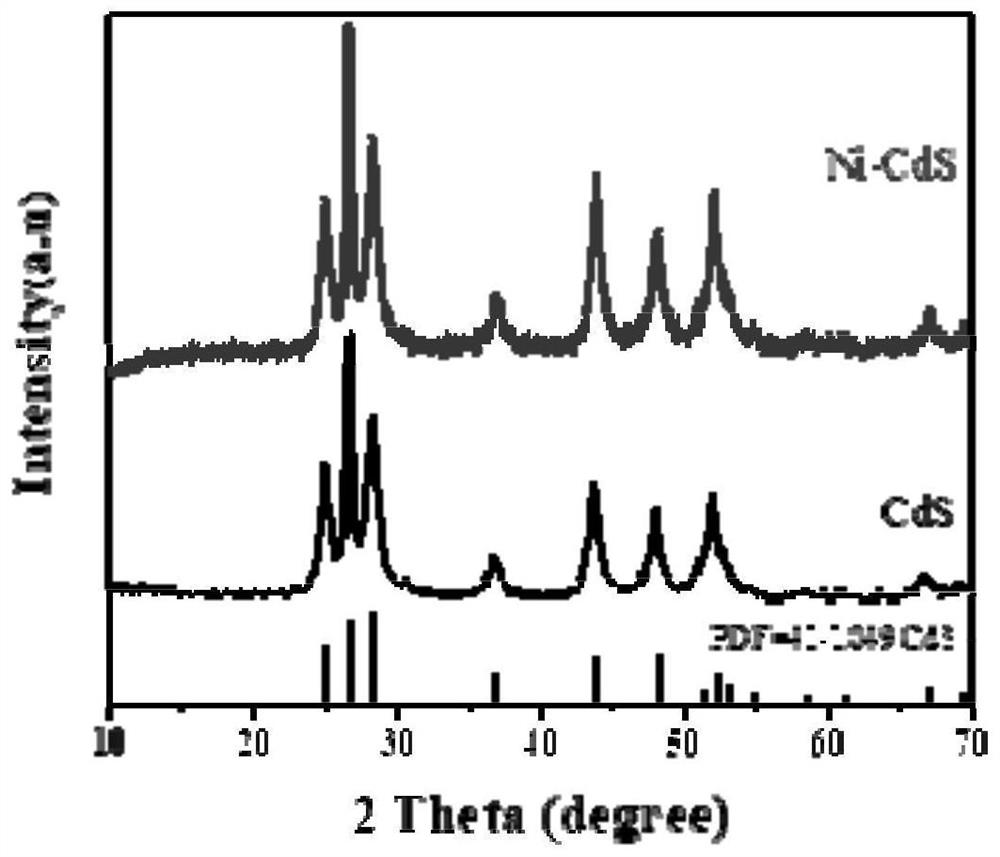 Hydrothermally synthesized Ni-doped CdS composite photocatalyst as well as preparation method and application thereof
