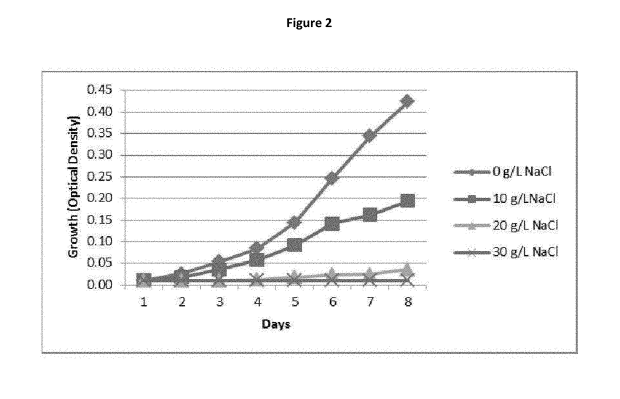 Engineered cyanobacteria with enhanced salt tolerance