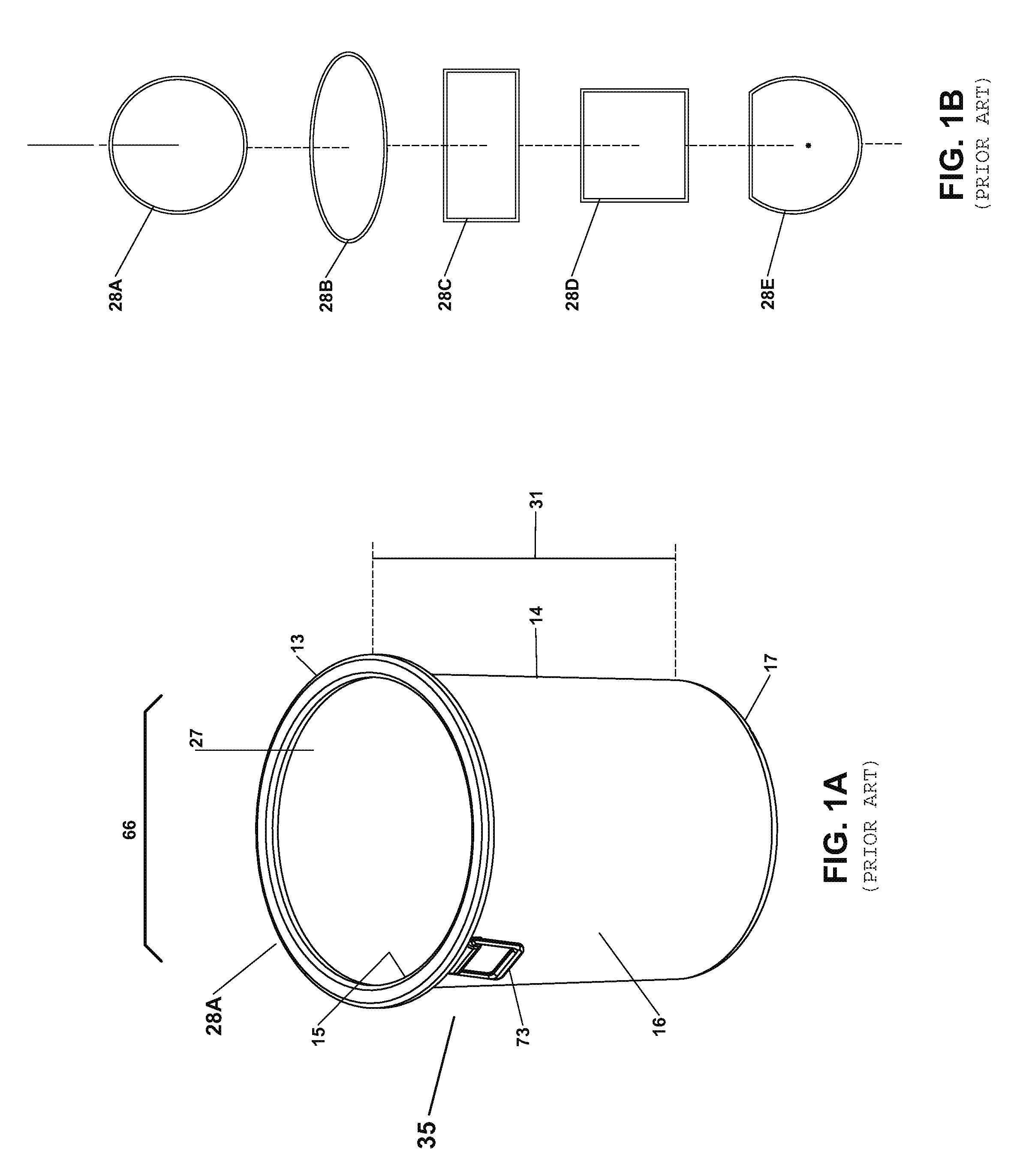 Apparatus and method for collecting and transferring yard waste