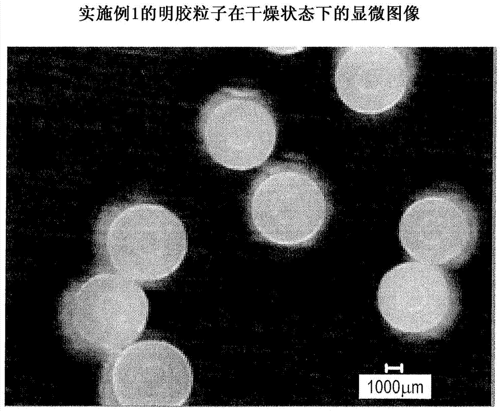 Gelatin particle and use thereof, and device for administration of physiologically active substance