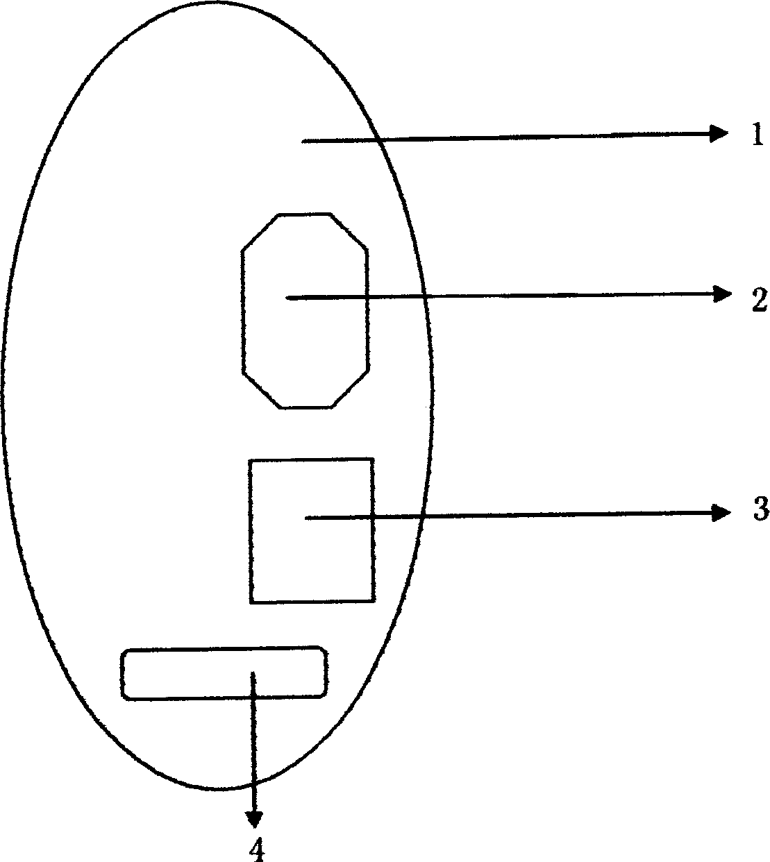 Reading and writing device of earphone of cellphone