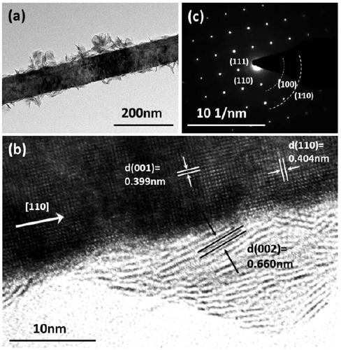 Preparation method of MoS2 nano-sheet coated KNbO3 nano-wire piezoelectric/photocatalytic material