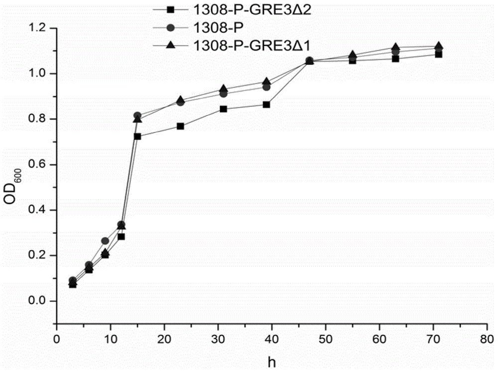 Saccharomyces cerevisiae recombinant strain for regulating expression activity of GRE3 genes and application of recombinant strain