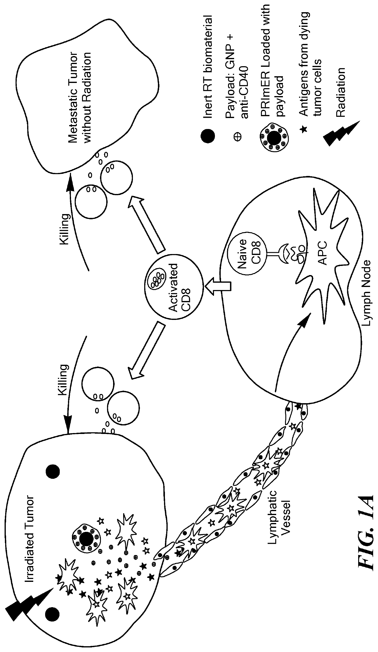 Biomaterials for combined radiotherapy and immunotherapy of cancer