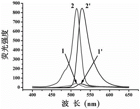 A kind of cell membrane targeted nitric oxide fluorescent probe and its preparation method and application