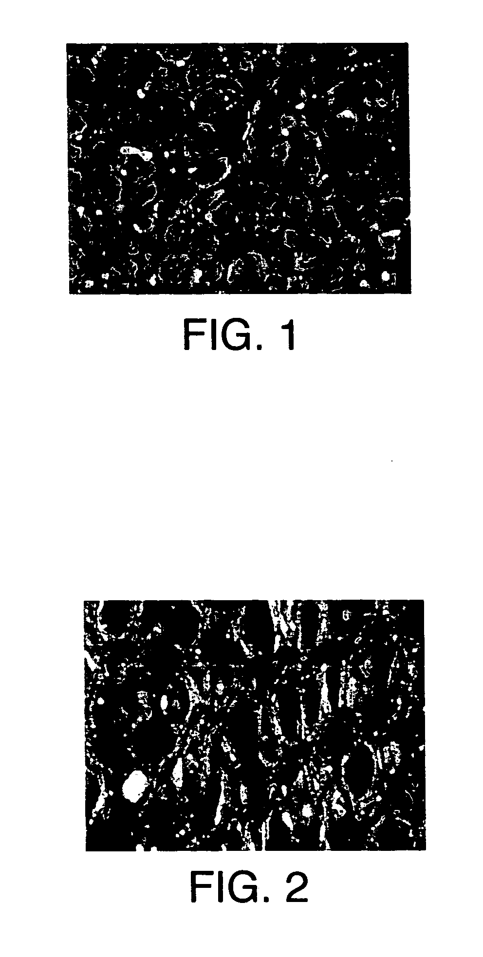 Process for producing metal foams having uniform cell structure
