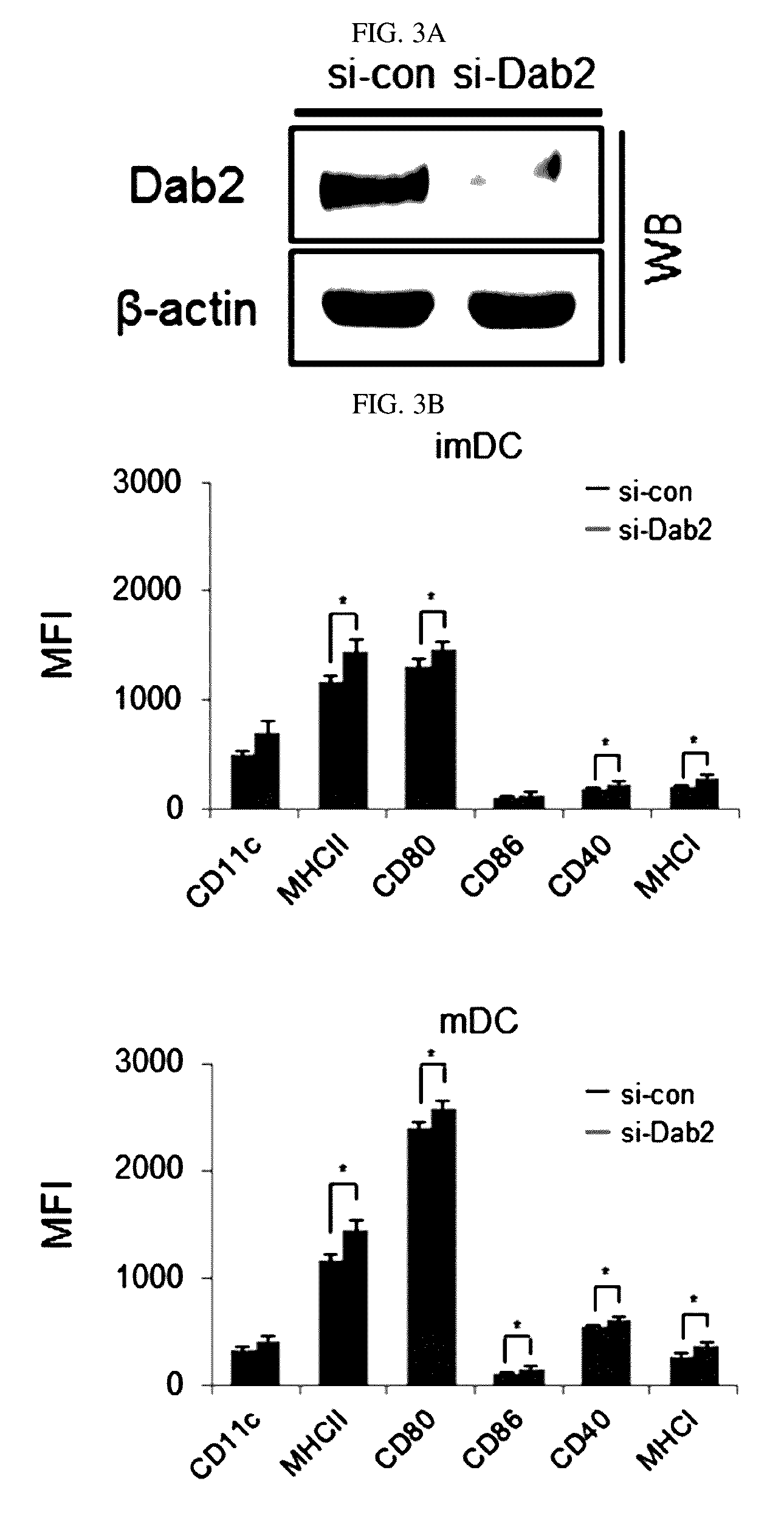 Pharmaceutical composition for preventing or treating cancers comprising dendritic cells with Dab2 gene silenced