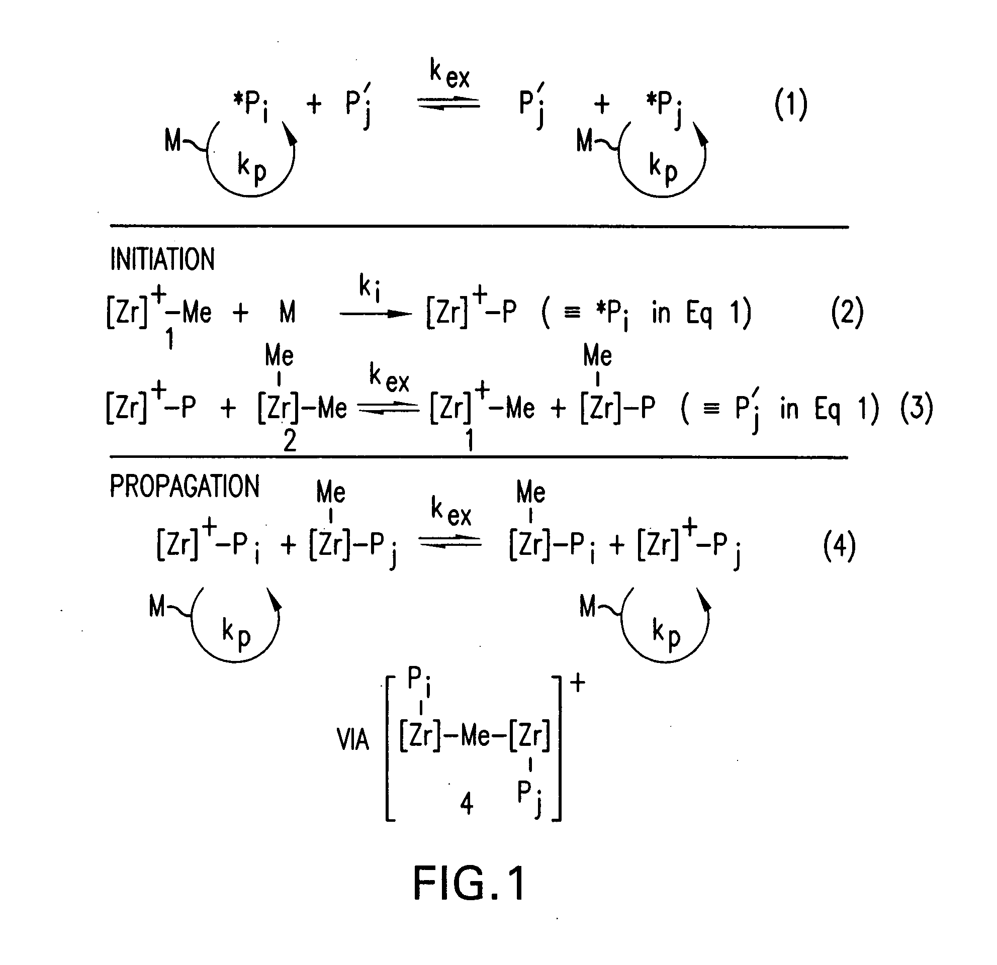 Process for preparation of polyolefins via degenerative transfer polymerization