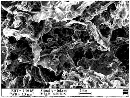 Biomass porous carbon material based on watermelon peel and preparation method and application of biomass porous carbon material
