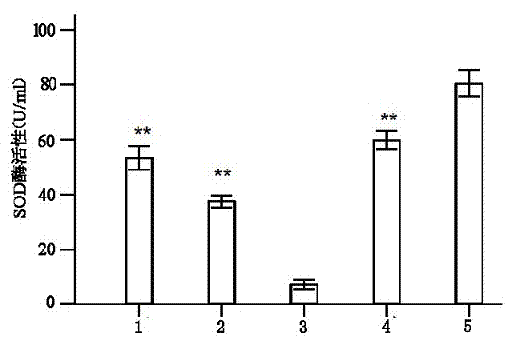 Human fat mesenchymal stem cell extract and lyophilized powder and application thereof