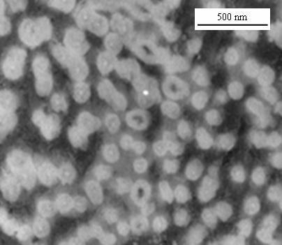 Method for preparing nano particle enhanced magnesium-based composite material