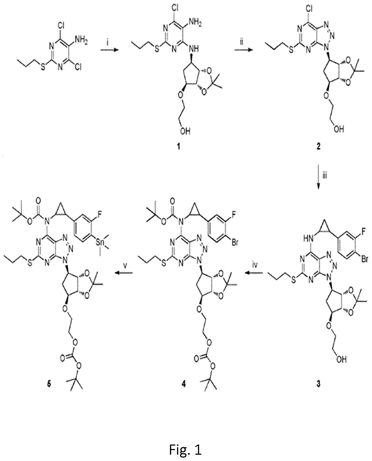 Use of triazolo[4,5-d]pyrimidine derivatives