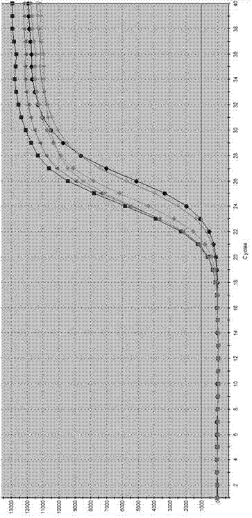 Application of PRMT5 gene serving as marker for predicting, diagnosing and treating acute myocardial infarction