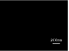 Preparation method of ordered polyaniline nano-wire array