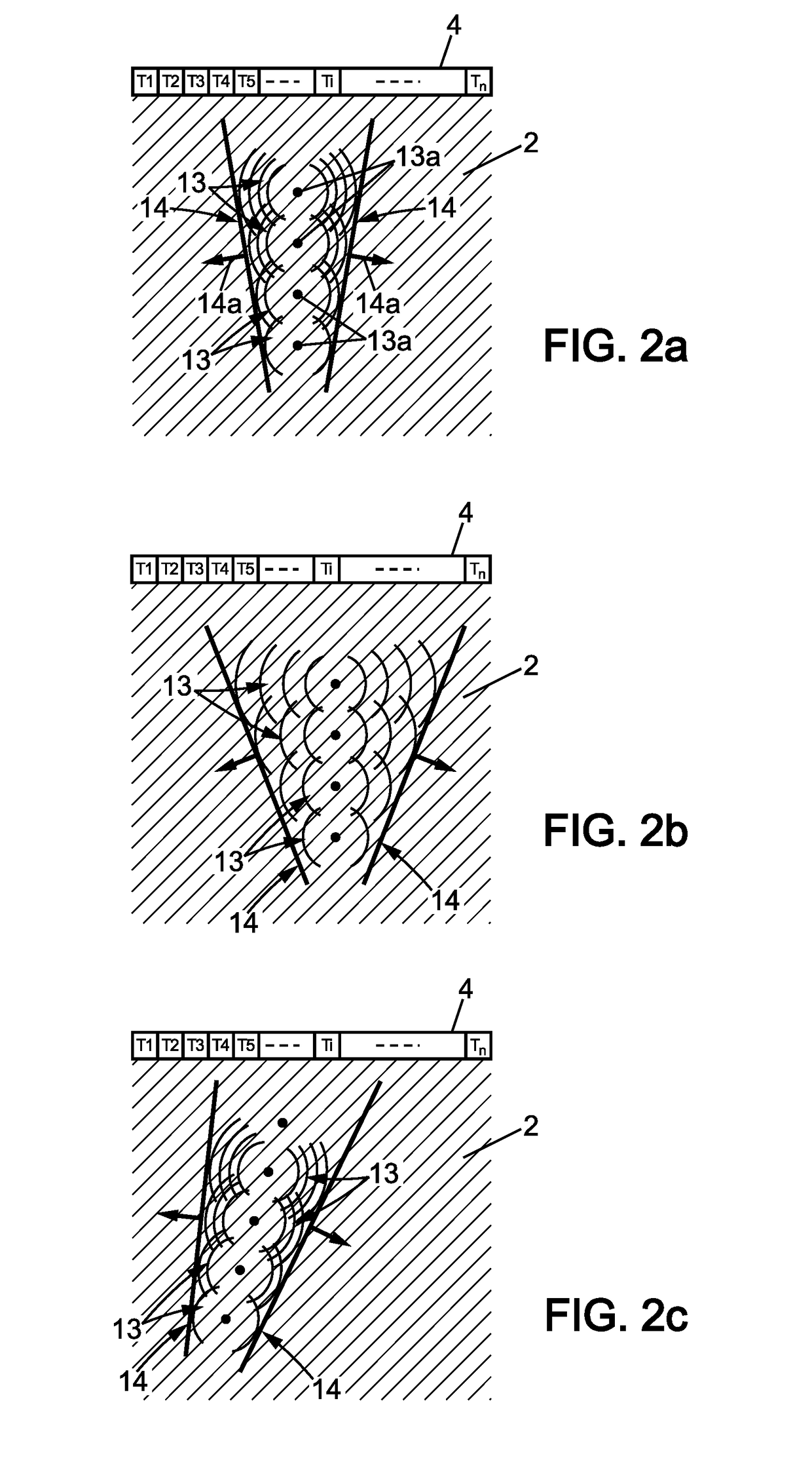 Shear wave elastrography method and apparatus for imaging an anisotropic medium